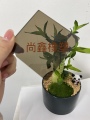 尚鑫橡塑加工