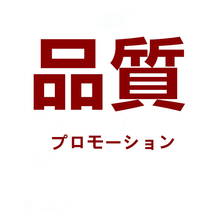日本甄选品牌店