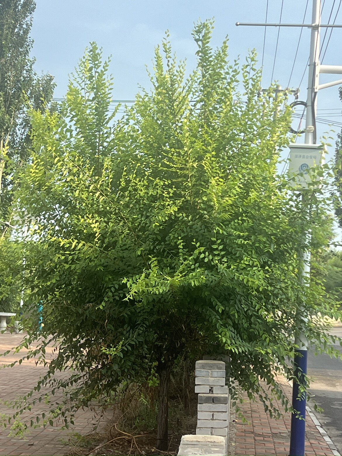 芳婷家居布艺店