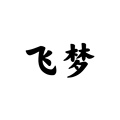 飞梦服配