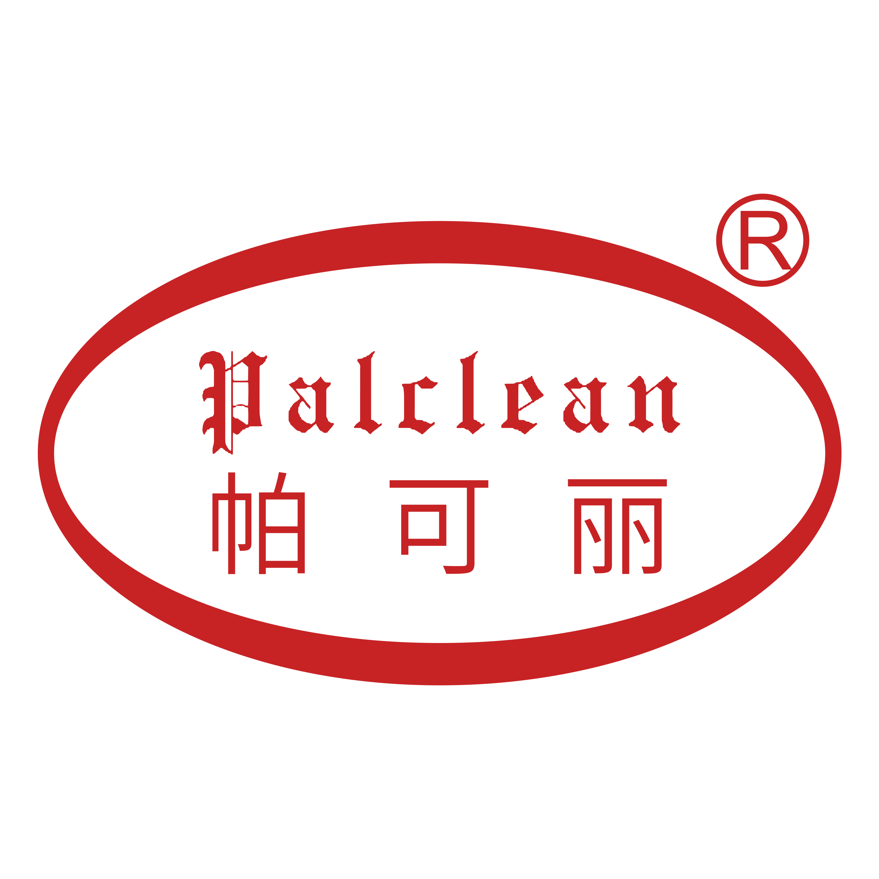 Palclean帕可丽官方店 店铺LOGO
