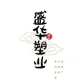 山东盛华塑业