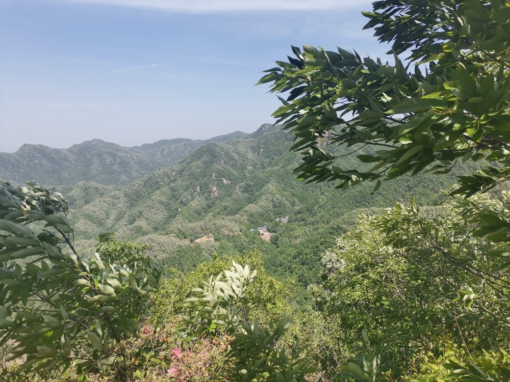 圆通服饰