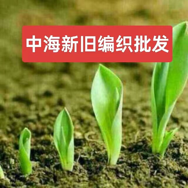 中海包装编织袋批发 店铺LOGO