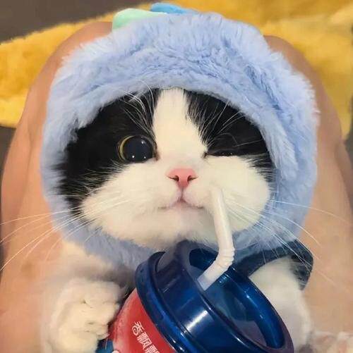 金陵木品