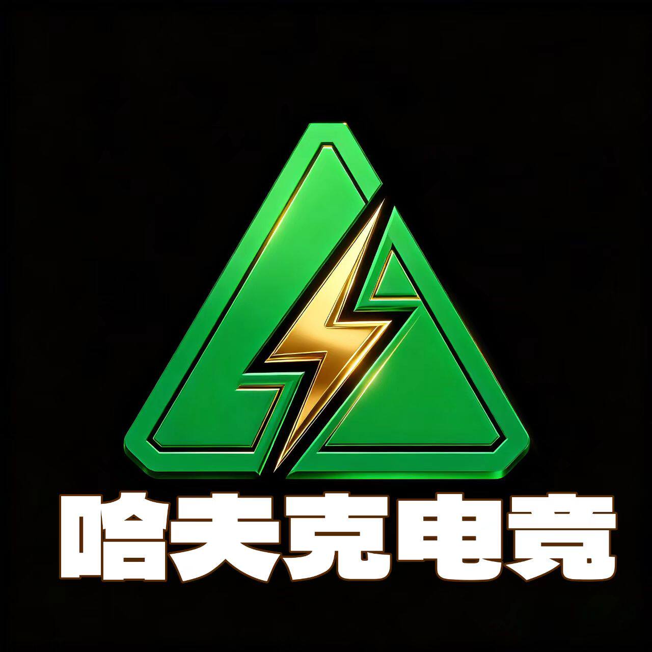 哈夫克电竞俱乐部2店
