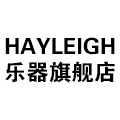 HAYLEIGH乐器旗舰店