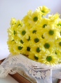 斗南基地鲜花