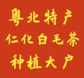 韶关仁化农品汇土特产