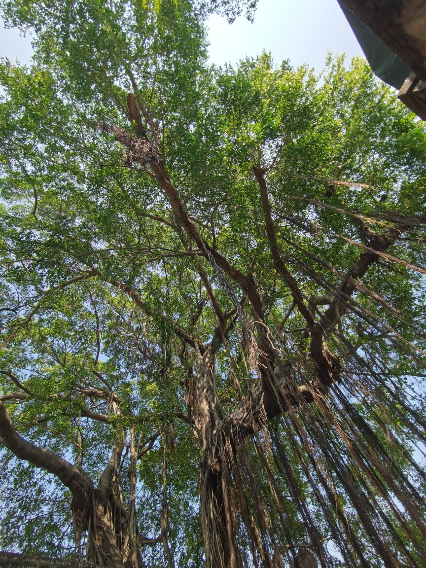 艺景画坊