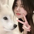 尚士华电子 原装芯片