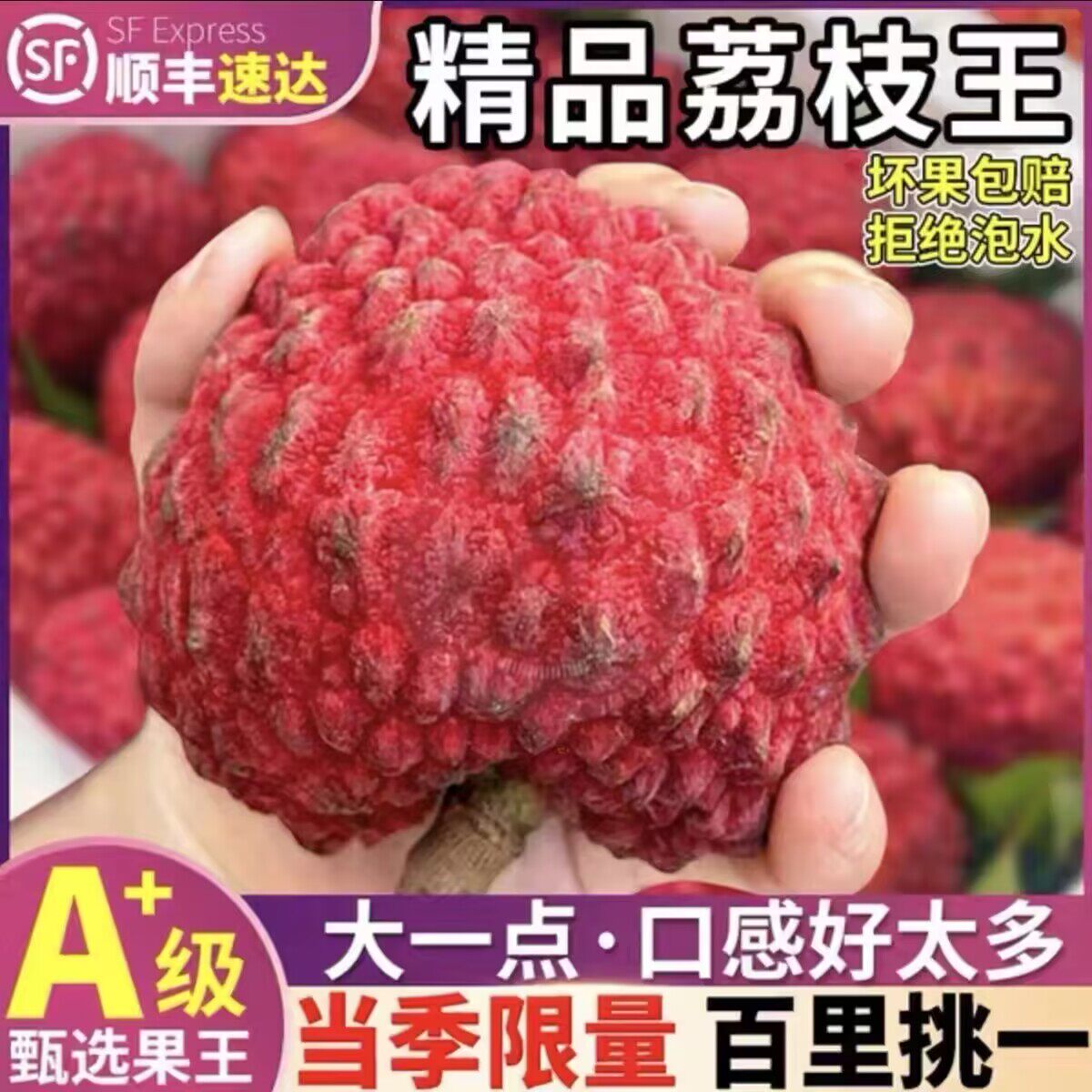 海南荔枝王果园产地直发