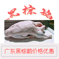 世富 黑棕鹅 乳猪食品直销