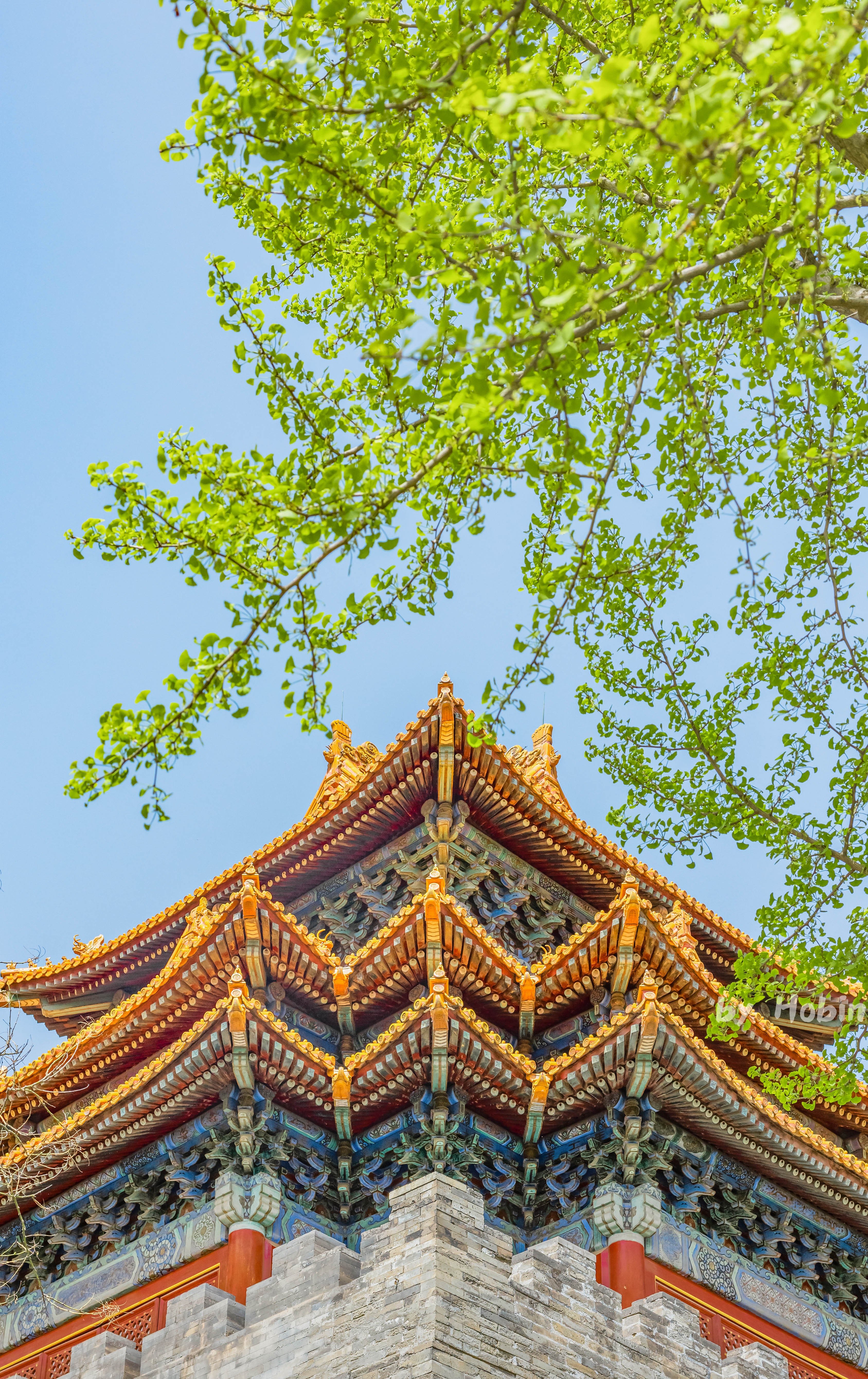 紫禁城宫廷文化