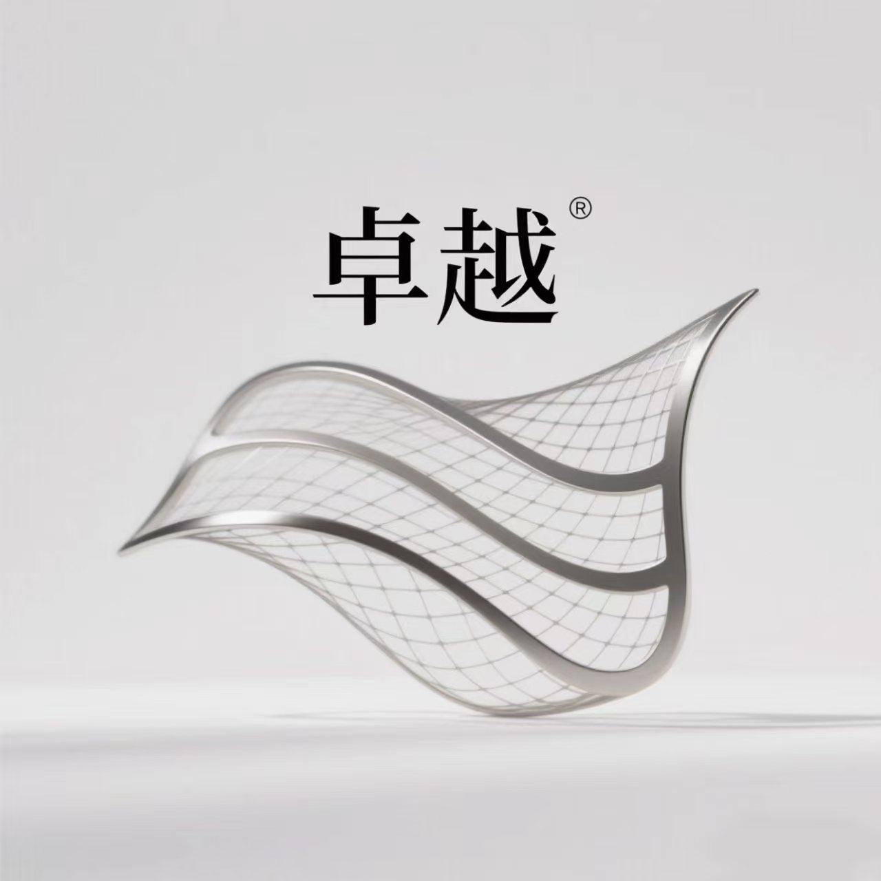 河北卓越丝网