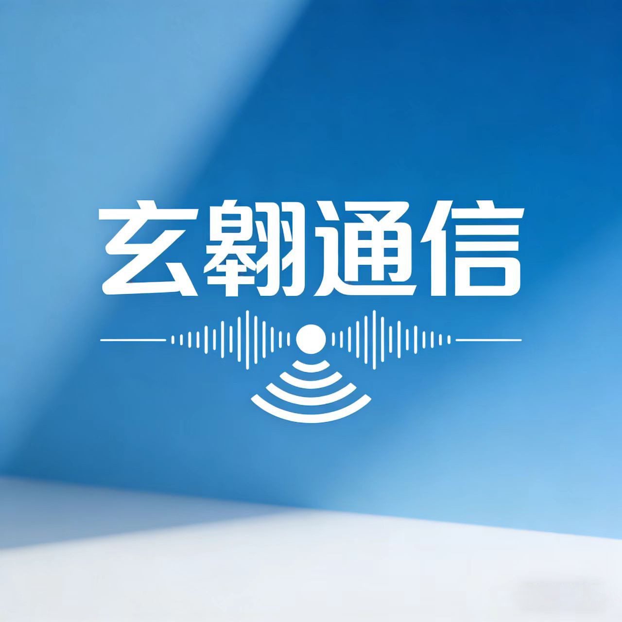 玄翱通信专营店