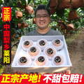 老刘果园又香又甜