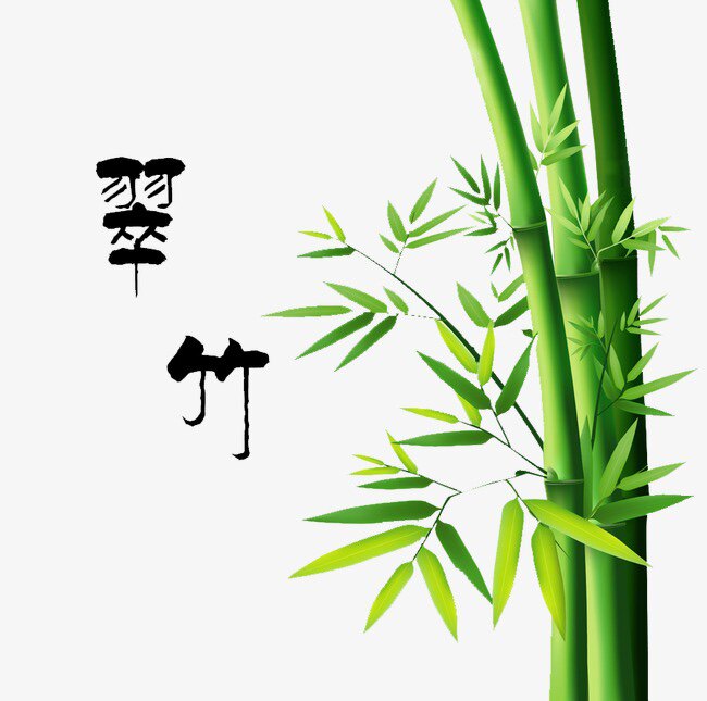 青竹百货优选