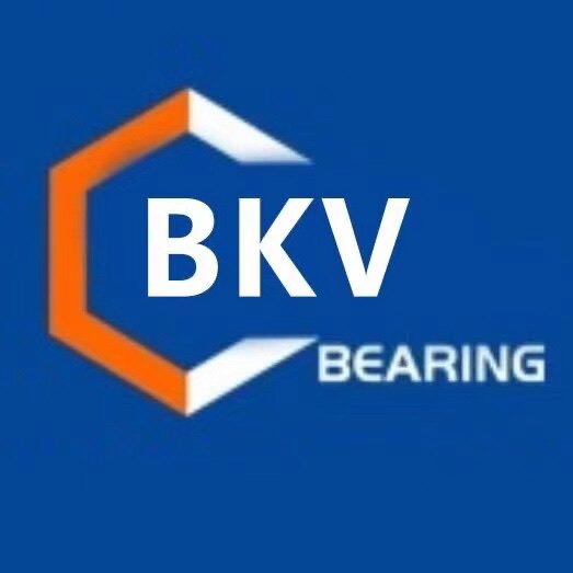 BKV轴承专店