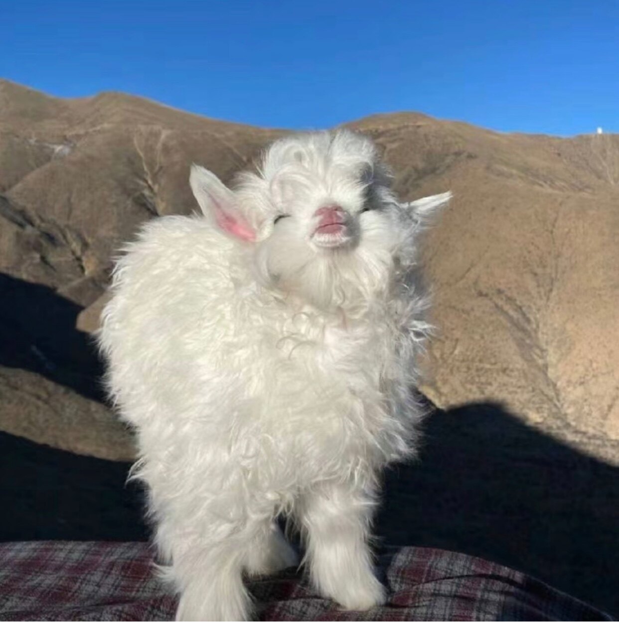 长白山咩咩雪服租赁