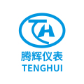 腾辉温控仪表企业店