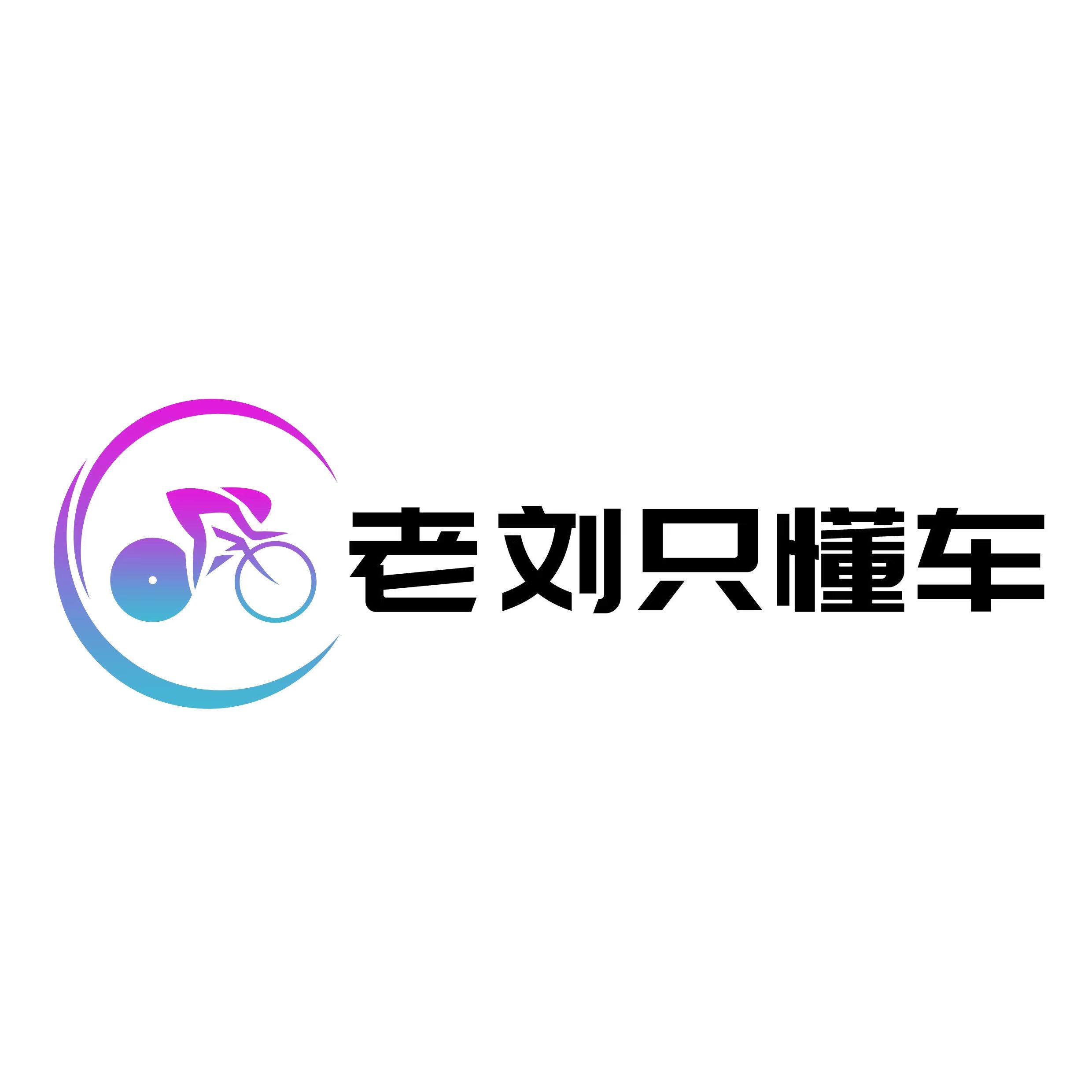 老刘只懂车