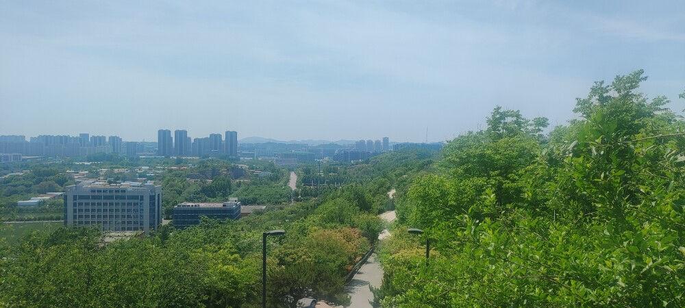 爱眼明