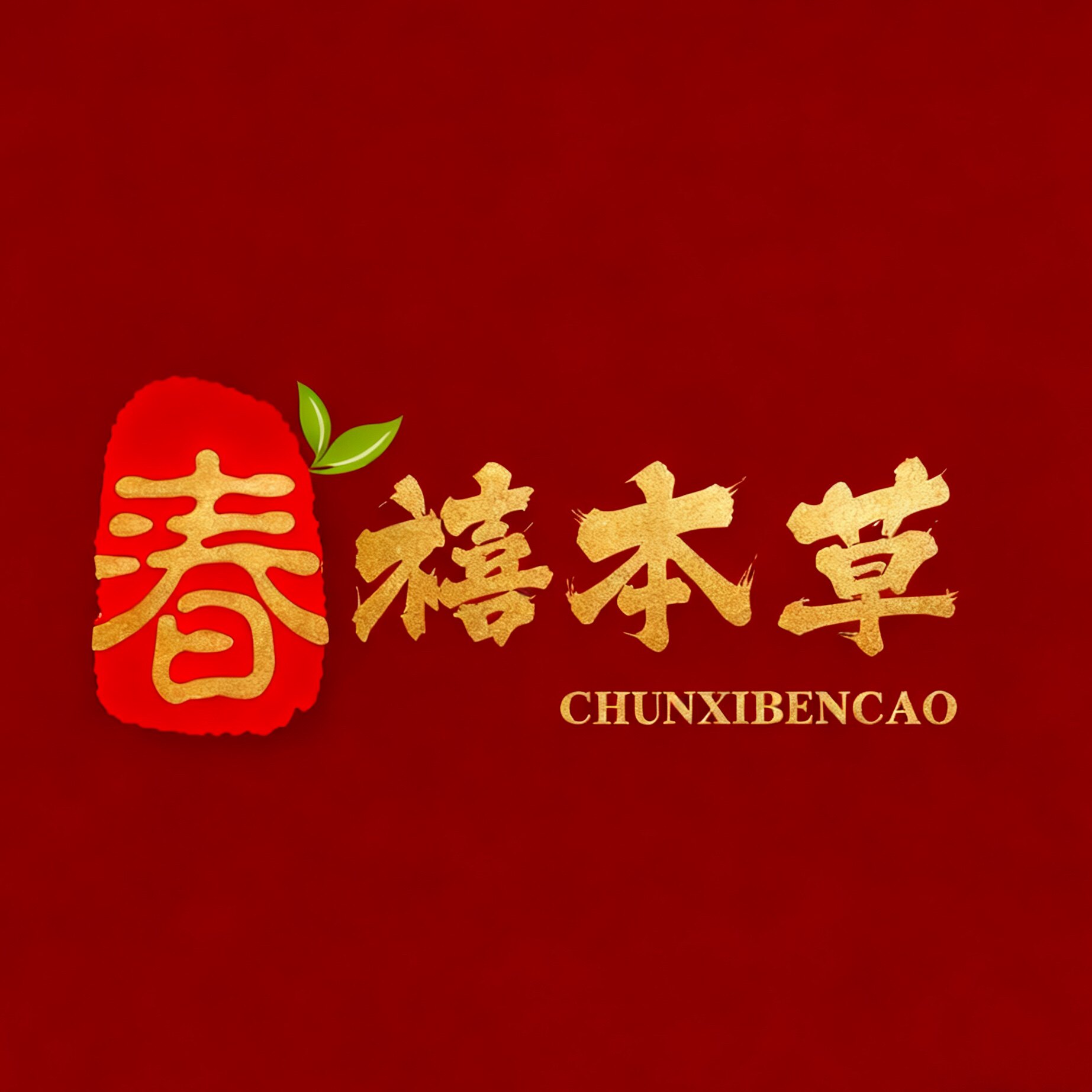 隆邈堂传统滋补