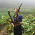 富贵姐1