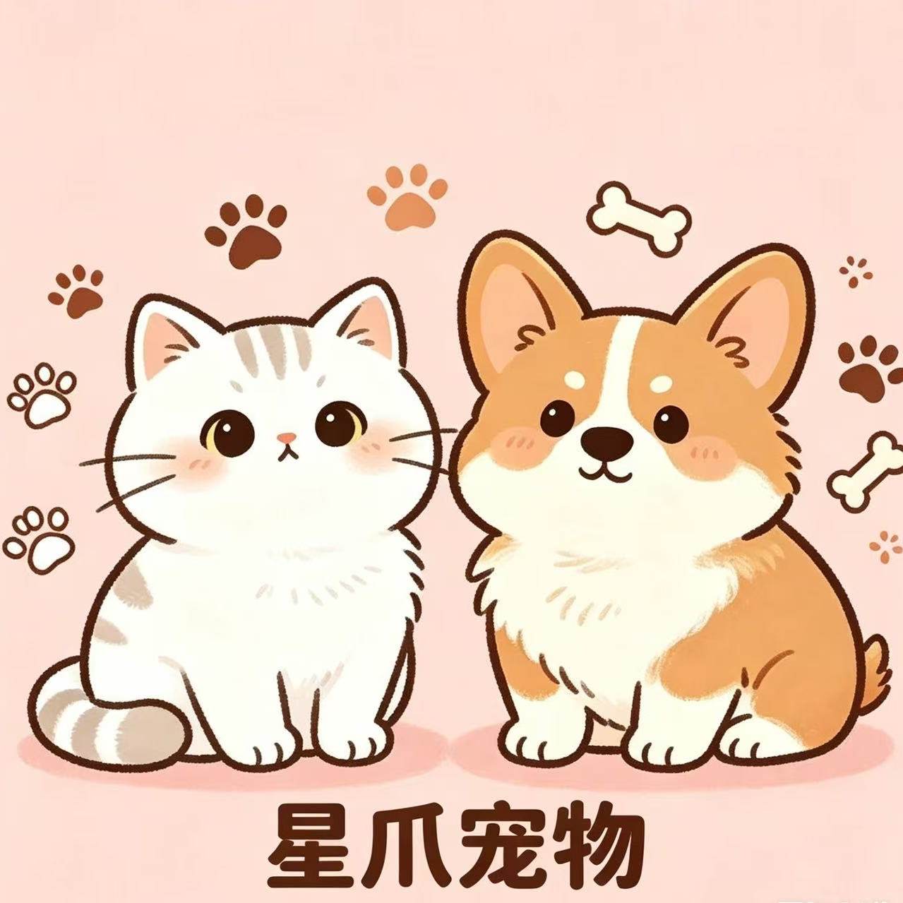 星爪宠物店铺