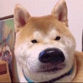 有一点点想买