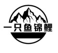 一只鱼锦鲤 店铺LOGO
