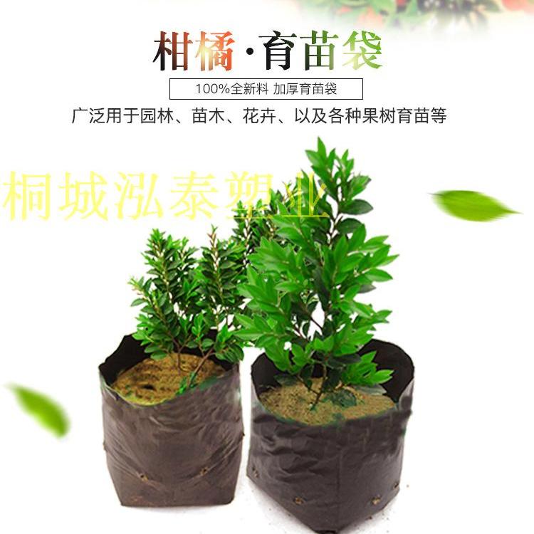 桐城泓泰塑业 店铺LOGO