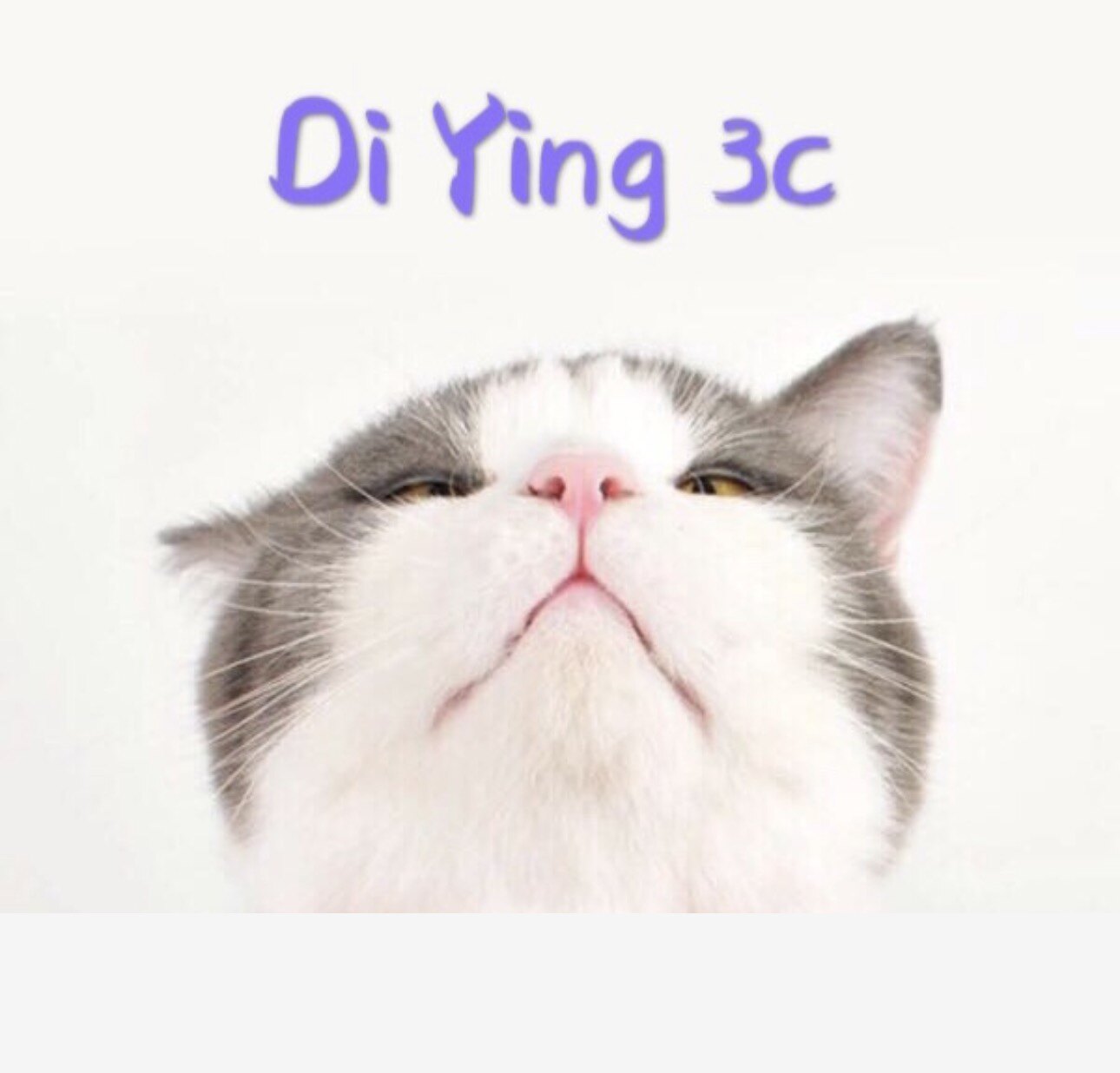 DYING环球彩妆