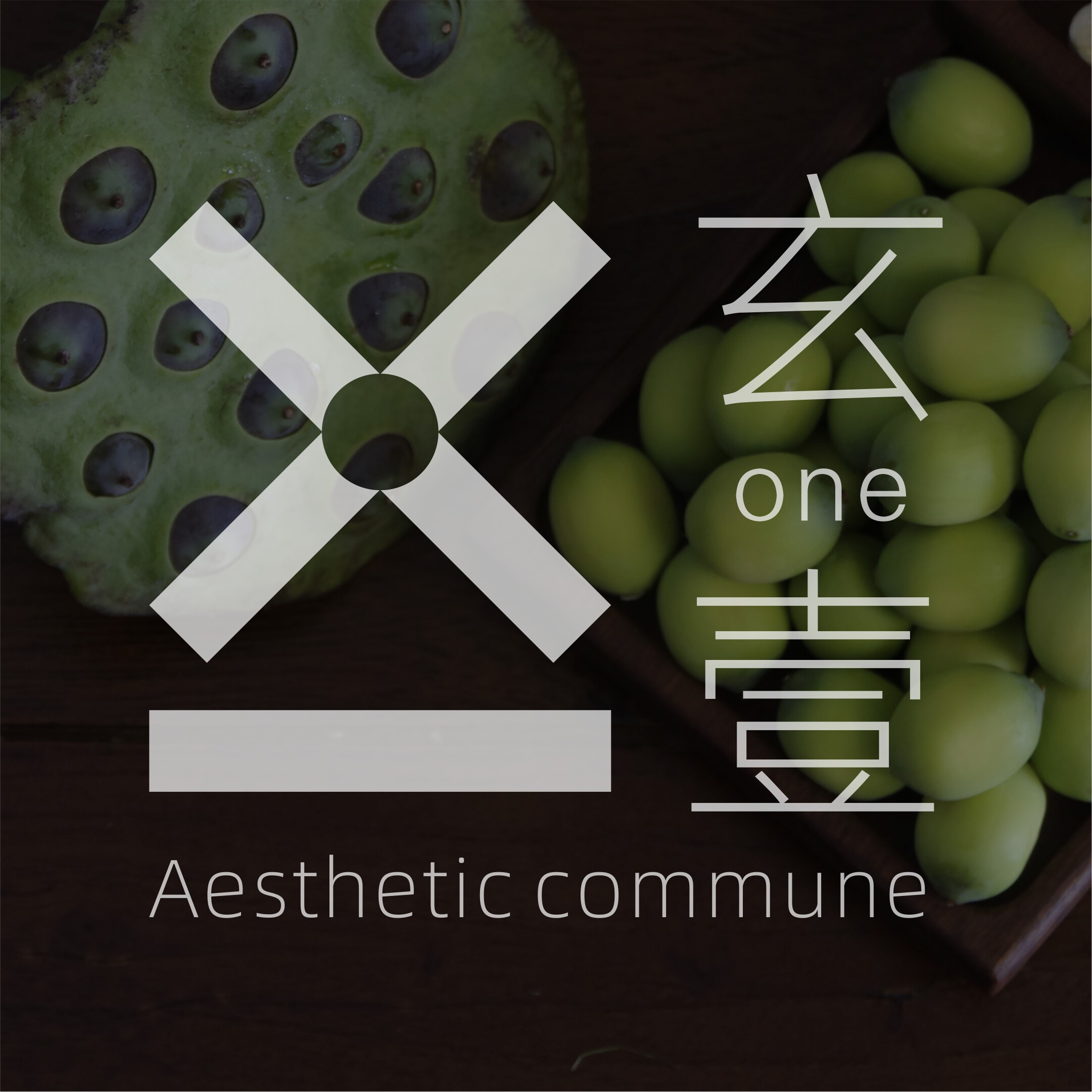 玄壹美学公社