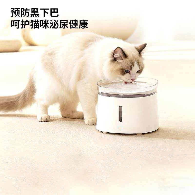 毛逗逗宠物用品