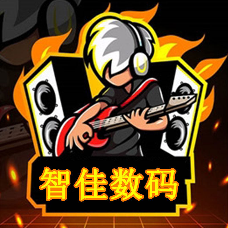 智佳数码