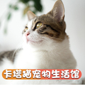 卡塔猫宠物生活馆