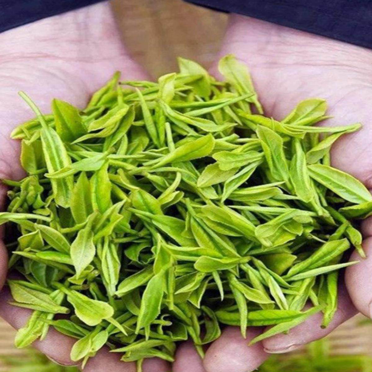 北川县五星茶业