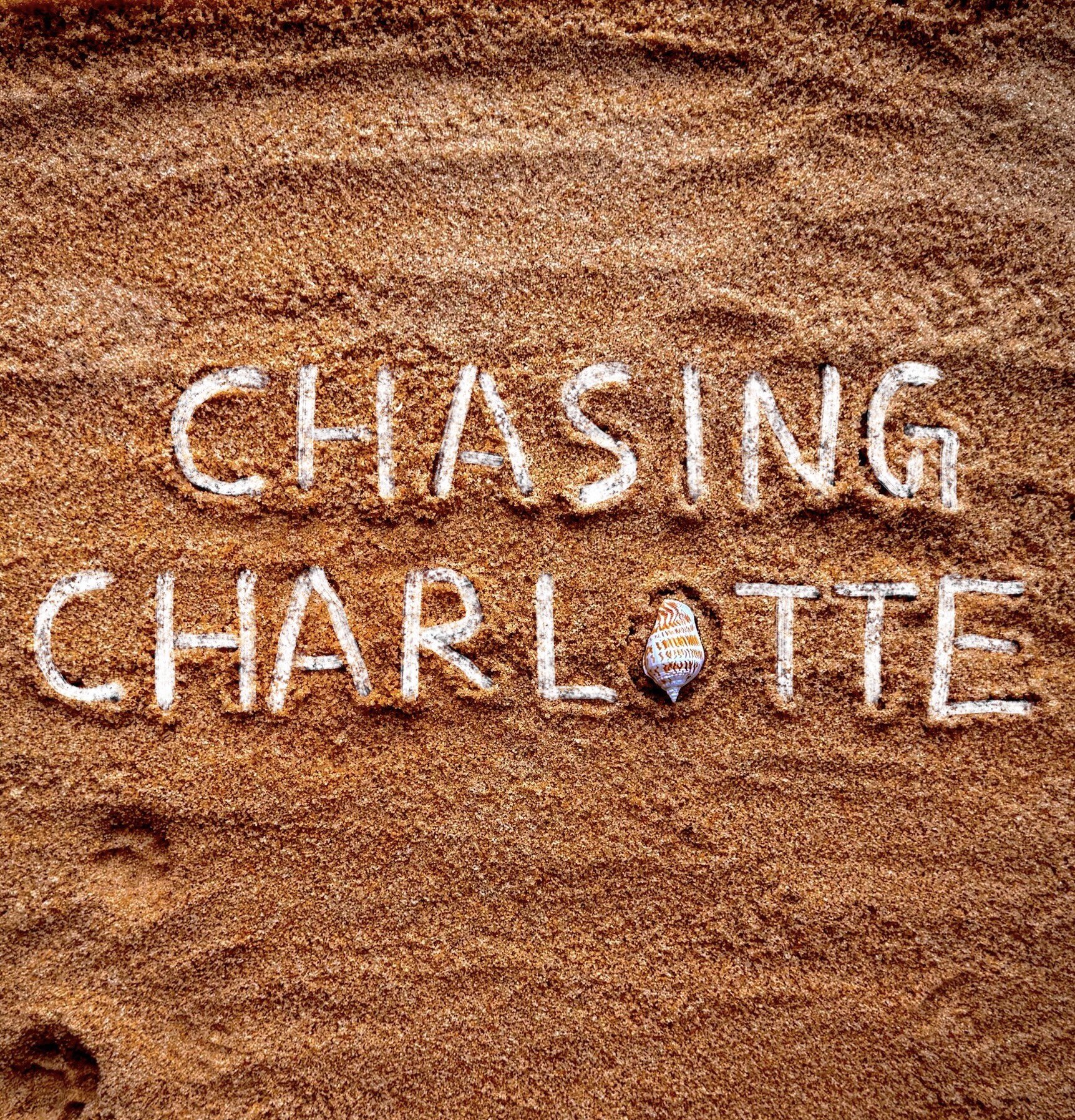 幻夏 CHASING CHARLOTTE