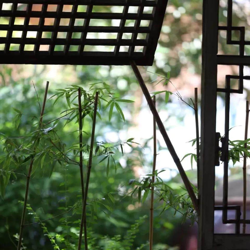 青禾茶社