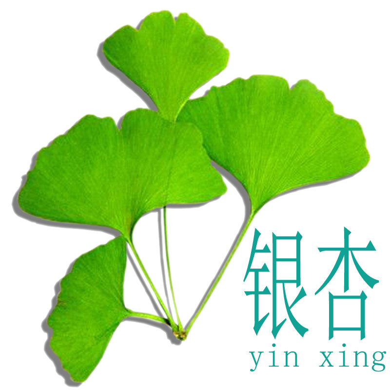 银杏家居生活馆