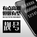 电信鑫悦通信专卖店
