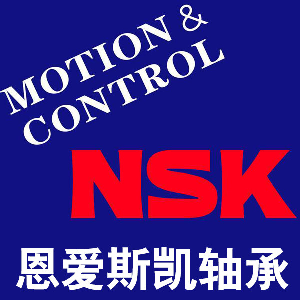 恩爱斯凯轴承企业店
