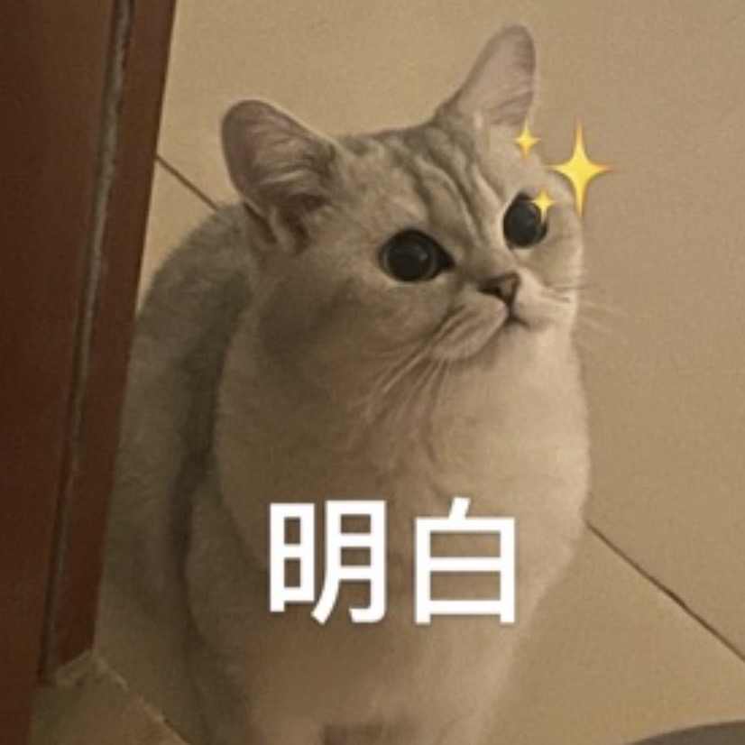 发财的猫粮铺子