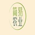 简易农业粘虫板厂家