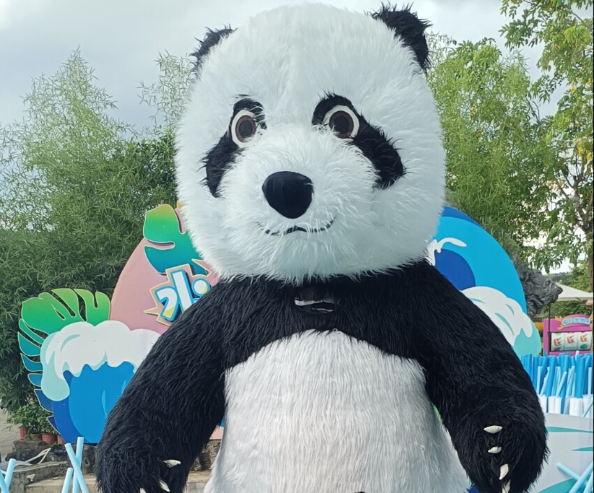 波波奇迹