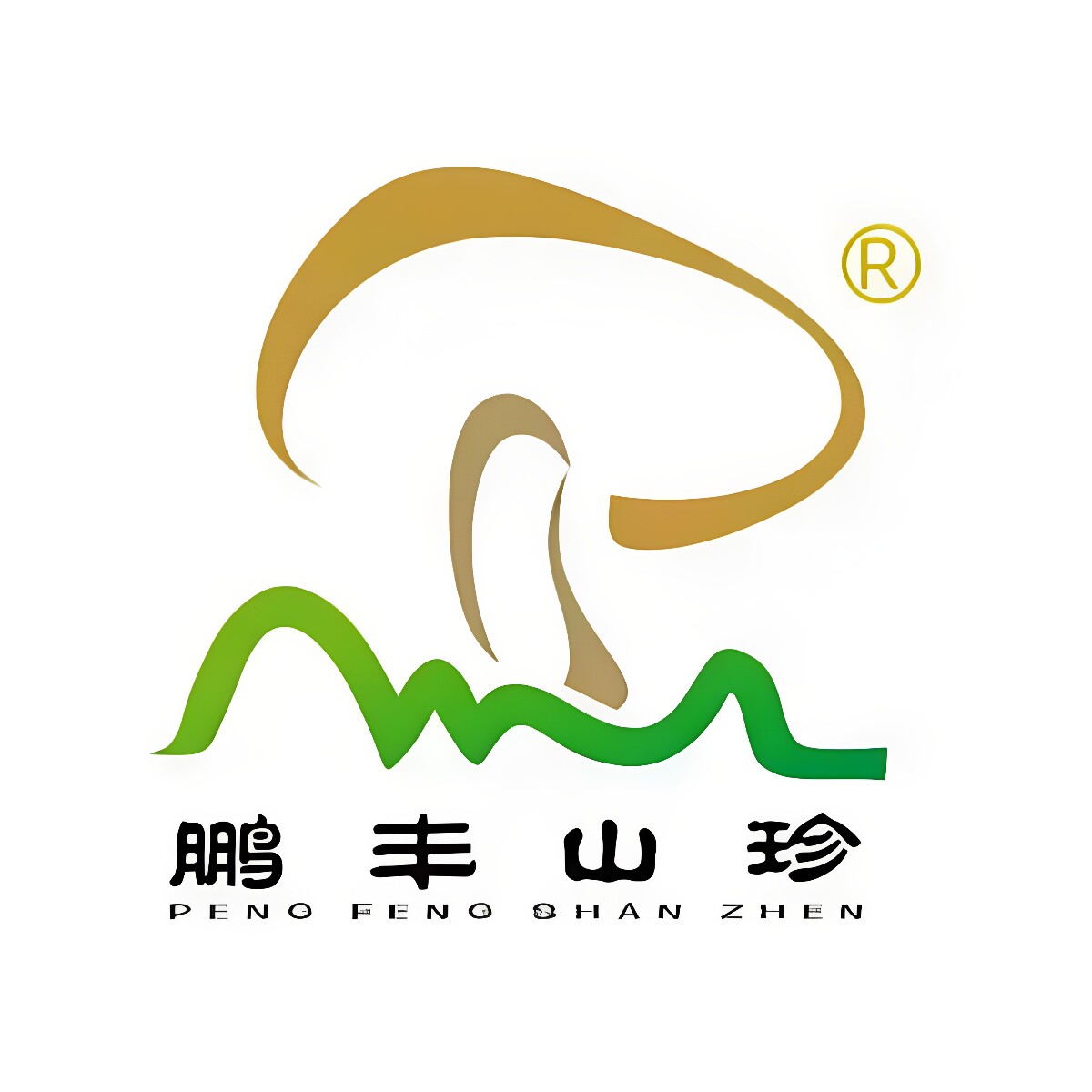鹏丰山珍