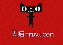 椰砖旗舰店 店铺LOGO