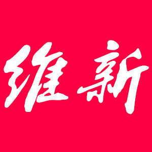 维新旗舰店